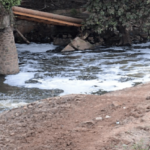 मुख्यमंत्र्यांनी सांगलीकरांच्या तोंडाला पाने पुसली, 500 कोटींचा प्रकल्प; शेरीनाल्याच्या प्रश्नावर फक्त आश्वासन