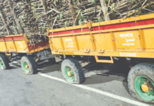 सोलापूर जिह्यात ऊसदर आंदोलन पेटले, ट्रक्टरचे टायर फोडून ऊस वाहतूक रोखली