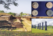 पुरातत्व डायरी- शिशुपालगड : नागरीकरणाची पुरातत्वीय साक्ष