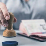 हिंदुस्थानात रशियन नागरिकांना मिळणार ३० दिवसांचा मोफत ई-टूरिस्ट व्हिसा