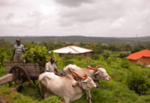 राज्यातील पहिल्या ‘कृषी व ग्रामीण पर्यटन शेतकरी समिती‘ची स्थापना