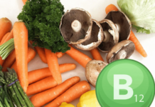 शाकाहारी व्यक्तींनी बी १२ वाढवण्यासाठी आहारात हे पदार्थ समाविष्ट करायला हवेत