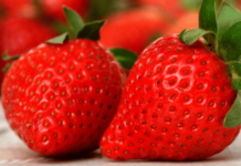 हिवाळ्याच्या सीझनमध्ये लालचुटूक स्ट्राॅबेरी का खायला हवी, जाणून घ्या