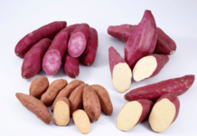 रोज रताळे का खायला हवे, जाणून घ्या त्याचे आरोग्यवर्धक फायदे