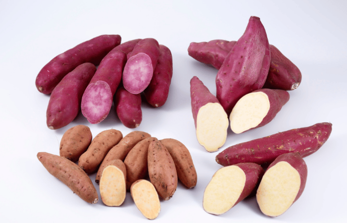 Sweet Potato