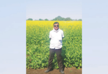 वेधक – मोहरीच्या पेरणीतून वेगळी वाट