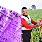 जिल्हा परिषद निवडणुकीत लाल कांदा रडवणार! कवडीमोल भाव, लागवडीचा खर्चही निघेना