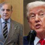 धोकादायक! पाकिस्तानात जाण्यापूर्वी विचार करा…; अमेरिकेची आपल्या नागरिकांना अॅडव्हायजरी, पाकची नाचक्की