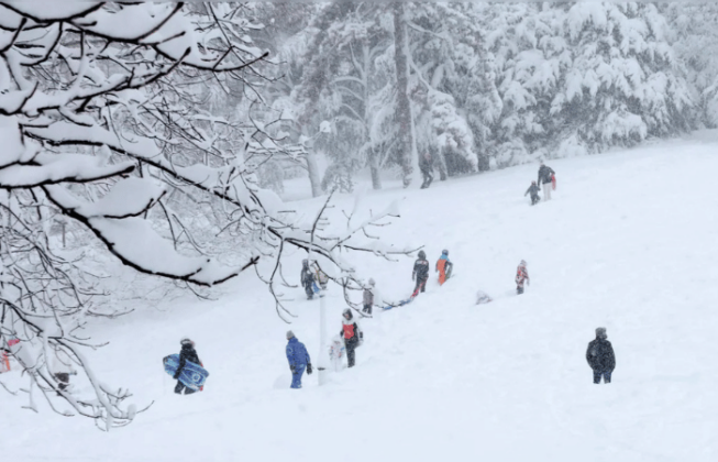 Massive Snowstorm Hits US 5,600 Flights Cancelled, Schools Shut in Northeast