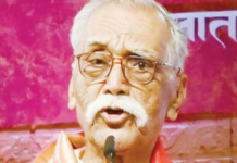 ..तर मराठीसाठी अल्पसंख्याक दर्जा मागायची वेळ येईल! भालचंद्र नेमाडे यांचा संताप