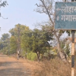 विधानसभेत लोहारडोंगरी खाणीचा मुद्दा गाजला, 32 नोकऱ्यांसाठी लाखो झाडांची कत्तल