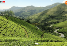 Munnar Keralam photo by vishal ahirrao