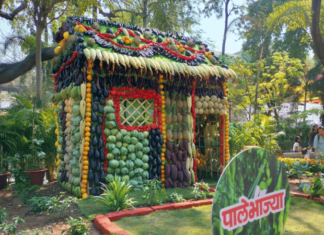 Photo – फुलांची आणि फळांची मैफील, पुणेकरांसाठी महानगरपालिकेची पर्वणी