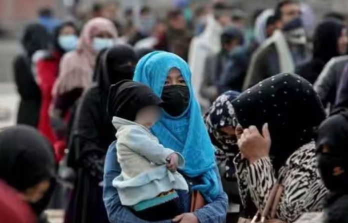 Untitled design - 2026-02-03T002907.539