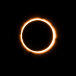 वेब न्यूज – ग्रहणाचे प्राण्यांवर परिणाम