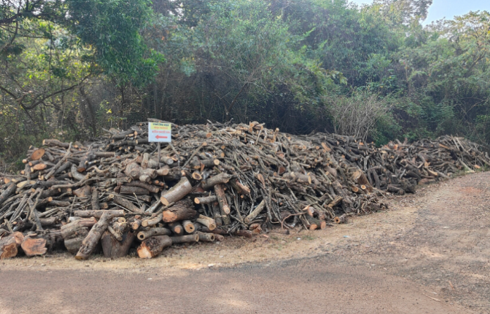 Untitled design (99)