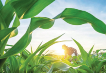 जागर – जगातील एकमेव अन्न आत्मनिर्भर देश