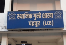 Chandrapur News – क्रिकेट बुकींविरोधात एलसीबीचे ‘ऑपरेशन क्लिन स्वीप’, 48 तासांत तीन कारवाया