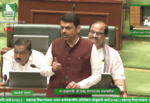 कृत्रिम फुले वापरणाऱ्या डेकोरेटर्स, हॉलमालकांवर कारवाई होणार; मुख्यमंत्र्यांचा इशारा, लवकरच जीआर काढणार