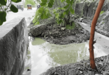 डोंबिवलीच्या पिंपळेश्वर रस्त्यावर हिरव्या पाण्याचे पाट; प्रदूषणामुळे रहिवाशांचा जीव घुसमटला