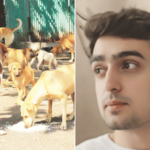 कल्याणमध्ये भटक्या कुत्र्यांची दहशत, रेबीजच्या भीतीने तरुणाची आत्महत्या