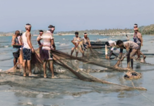 हवामान बदलाचा फटका; फिश फाईंडर यंत्रणाही ठप्प, म्हावऱ्याचा चकवा… जाळी रिकामी… दर कडाडले