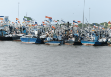 उत्तरेच्या थंड वाऱ्याने मासळी पळाली; 300 बोटी हात हलवत परतल्या, मच्छीमारांचा लाखोंचा खर्च वाया