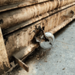 जालन्यातील स्टेट बँक ऑफ इंडियाच्या वडीगोद्री शाखेवर दरोडा ;गॅस कटरच्या सहाय्याने शटर तोडून मुद्देमाल पळवला