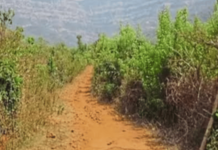 काजिर्डा घाटमार्गाचे सर्वेक्षण अंतिम टप्प्यात; नवीन घाट मार्गामुळे प्रवासाचे अंतर आणि लागणार वेळ कमी होणार