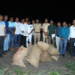 mehkar police seize cannabis worth rs 1.32 crore in pangri kate raid