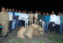 mehkar police seize cannabis worth rs 1.32 crore in pangri kate raid