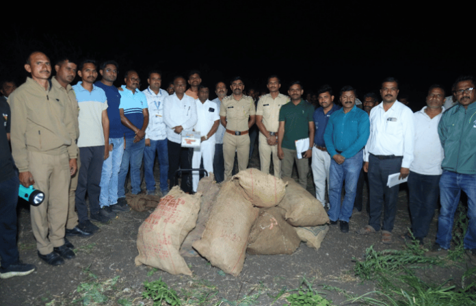 mehkar police seize cannabis worth rs 1.32 crore in pangri kate raid mehkar police seize cannabis worth rs 1.32 crore in pangri kate raid