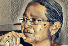 भाषा सरस्वती – भाषिक अस्तित्वाची झुंज