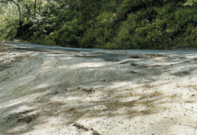 17 शाळांना जोडणारा रस्ता बनला ‘मृत्यूचा सापळा’, शहापूर – वाशाळा – कसारा रस्ता खड्ड्यात गेला