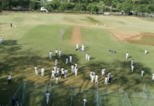 सेंट्रल मैदानावर नेमकं चाललंय काय? ठाण्यात खेळाडूंना रोखण्यासाठी कुत्र्यांची फौज, स्पोर्टिंग क्लबच्या मनमानी कारभाराविरोधात आंदोलन