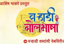 बोलीभाषेची समृद्धी – वऱ्हाडी बोली