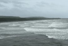 आरे-वारे समुद्रात दोन पर्यटक बुडाले; पालघर येथील एकाचा मृत्यू