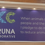 ‘इंडिया करुणा कोलॅबोरेटिव्ह’चे उद्घाटन