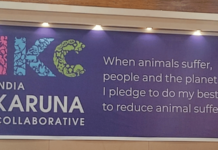 ‘इंडिया करुणा कोलॅबोरेटिव्ह’चे उद्घाटन