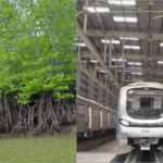 नवी मुंबई आणि मुंबई विमानतळांदरम्यान मेट्रो मार्गासाठी 27.2 हेक्टर खारफुटीवर कुऱ्हाड, पर्यावरणप्रेमींमध्ये नाराजी