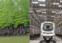 नवी मुंबई आणि मुंबई विमानतळांदरम्यान मेट्रो मार्गासाठी 27.2 हेक्टर खारफुटीवर कुऱ्हाड, पर्यावरणप्रेमींमध्ये नाराजी