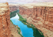 नवलच! कोलोरॅडोची करामत