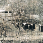 मुंबईतील बायोवेस्ट प्रकल्प अंबरनाथकरांवर लादण्याचा डाव, शिवसेनेचा कडाडून विरोध