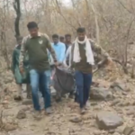 सातबहिणीच्या डोंगरावर मधमाश्यांचा हल्ला, नवस फेडण्यासाठी आलेले चार भाविक जखमी