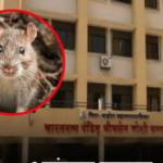 मिरा-भाईंदर हादरले! भीमसेन जोशी रुग्णालयाच्या आयसीयूमध्ये व्हेंटिलेटरवरील वृद्धेला उंदराने कुरतडले