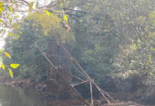 अतिवृष्टीत पडलेल्या साकवाच्या दुरुस्तीसाठी चार वर्ष प्रतीक्षा, फक्त अंदाजपत्रक बनवत चांदोरवासियांची शासनाकडून फसवणूक