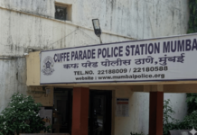 एआयचा वापर करून व्हिडीओ छेडछाड केल्याचा आरोप, ट्रान्स महिलेची भावाविरोधात तक्रार