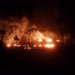 Ratnagiri News – संगमेश्वर तालुक्यात वणव्यांचे सत्र सुरूच, एका शेतकऱ्याचा मृत्यू