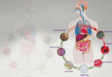 आरोग्य – दोषमुक्त रस धातू