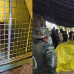 Jalna News – जालना जिल्ह्यातील धावड्यात थरार! ५ तासांच्या रेस्क्यूनंतर बिबट्या अखेर जेरबंद